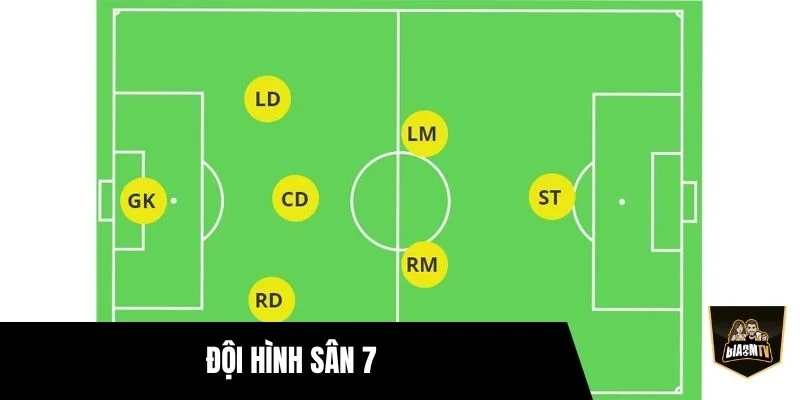 Đội Hình Sân 7 Chuẩn Nhất Giúp Tối Ưu Chiến Thuật Thi Đấu