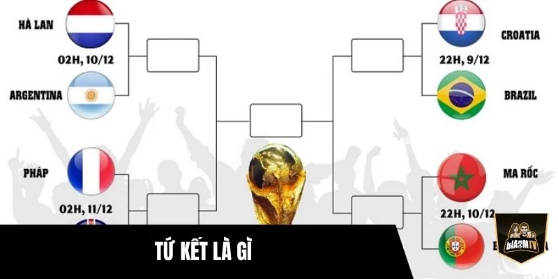 Tứ Kết Là Gì? Giải Thích Chi Tiết Vòng Đấu Quan Trọng