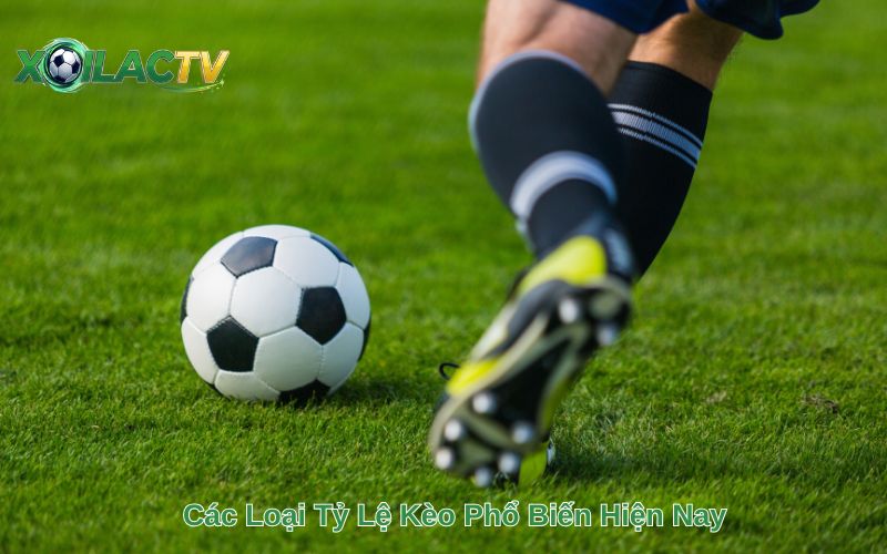 Các Loại Tỷ Lệ Kèo Phổ Biến Hiện Nay