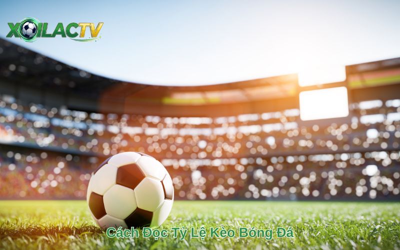 Cách Đọc Tỷ Lệ Kèo Bóng Đá