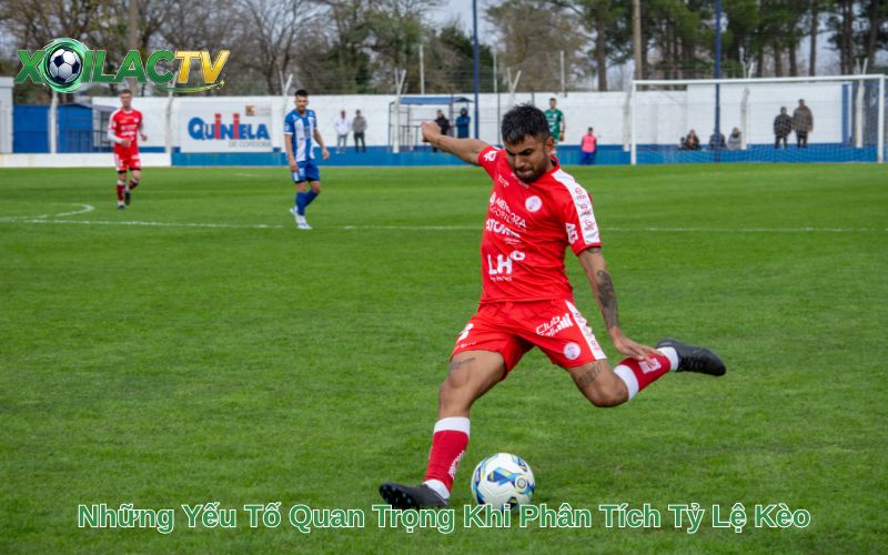 Những Yếu Tố Quan Trọng Khi Phân Tích Tỷ Lệ Kèo