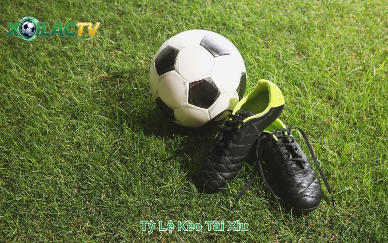 Tỷ Lệ Kèo Tài Xỉu