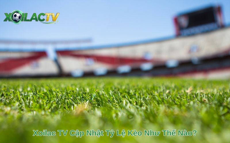 Xoilac TV Cập Nhật Tỷ Lệ Kèo Như Thế Nào